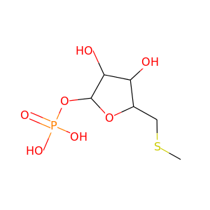 5-Methylthioribose 1-phosphate